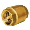 'Brass Non Return Valve 1 Female)