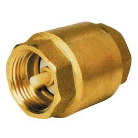 'Brass Non Return Valve 1 Female)