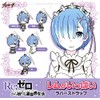 Re:Zero Starting Life in Another World Rem Teary Smile Ver.