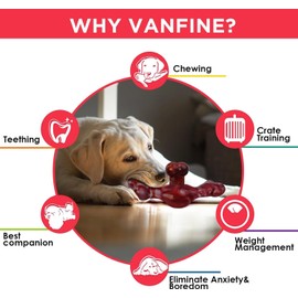 wikiRay Dog Chew Toy for Aggressive Chewers - Durable Nylon Dog Bone chew Toy Interactive Tough & Drumstick Bone for Large, Medium, and Small Dogs - Interactive Fun (Beef up to 22 kg)