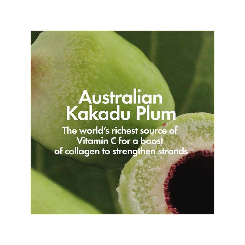 Bondi Boost Anti Frizz Shampoo 500ml