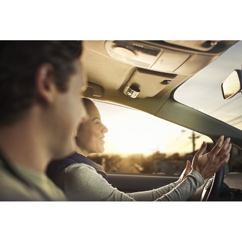 Chamberlain G953EVC-P2 3 Button Garage Door Opener Remote