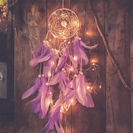 Qukueoy Dream Catchers for Bedroom Wall Hanging Decorations, Dreamcatcher Home Ornaments for Fantasy Gifts, Caught Your Dream (Purple)