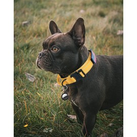 AUBELL Reflective Tactical Dog Collar, Adjustable Military Nylon Dog Collar with Handle and Heavy Duty Metal Buckle for Medium Large Extra-Large Dogs, with Airtag Case and 2 Patches(Yellow, XL)