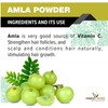 Forest Herbs 100% Natural Organic Amla Powder For Hair Growth