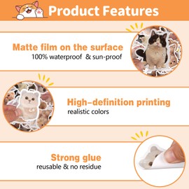 Sticker Kinder, 60 Stück Aufkleber Kinder, Katzen Sticker, Wasserfeste Sticker Set, Sticker Fotoalbum, Cute Sticker für Laptop, Wasserflasche, Gitarre, Koffer, Notebook