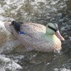 Cifavor Mallard Duck Hunting Decoys
