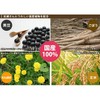 Ogawa Seikyu Japanese Dandelion Blend Tea 3.5 oz (100 g)