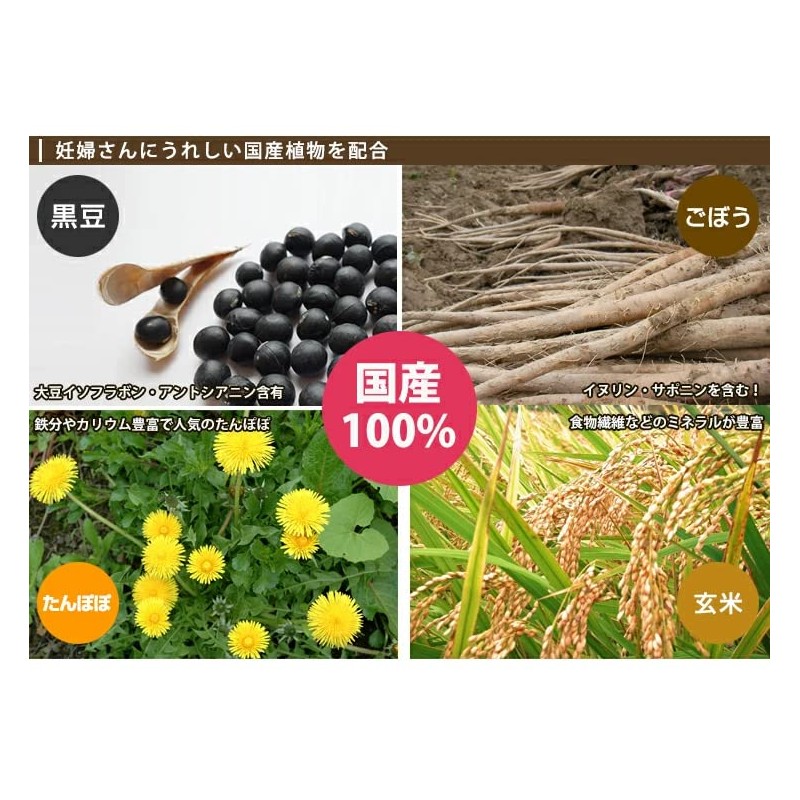 Ogawa Seikyu Japanese Dandelion Blend Tea 3.5 oz (100 g)