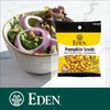Eden Organic Pumpkin Seeds, Pocket Snacks, Dry Roasted, Lightly Salted,