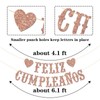 Feliz Cumpleaños Banner Glitter (Rose Gold)