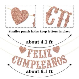 Feliz Cumpleaños Banner Glitter (Rose Gold)
