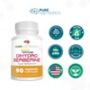 Pure Nootropics - Dihydroberberine Supplement (GlucoVantage) 100 mg, 90 Capsules