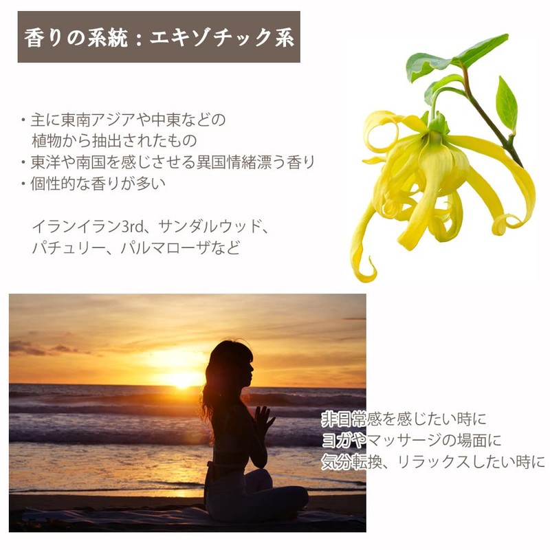 ASH Patchouli Essential Oil 10ml AEAJ Certified Certified Essential Oil