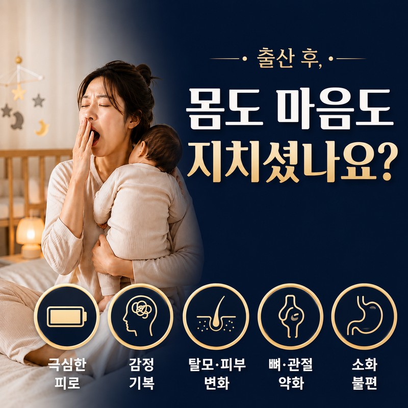 출산후 모유수유 철분엽산비타민D 종합선물 영양제, 90정, 2개 Postpartum Breastfeeding Iron