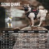 OneTigris Tactical Dog Harness Vest,No-Pull Service Dog Vest with Hook