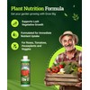 FoxFarm Fertilizer Soil Trio Liquid Nutrient: Tiger Bloom, Grow Big,