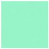 Sally Hansen Insta-Dri Nail Polish 510 Gain Mo-Mint-Um