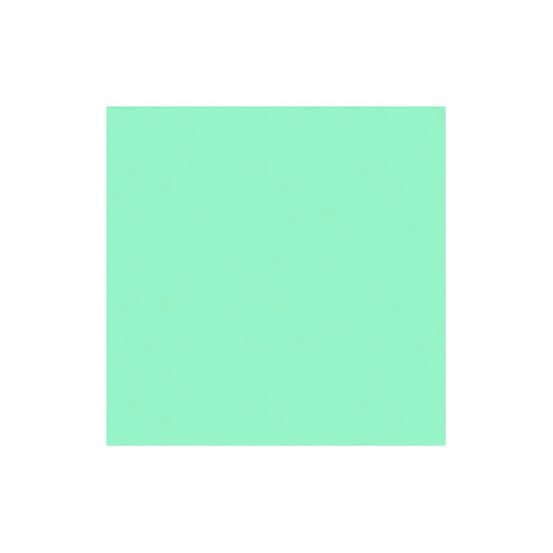 Sally Hansen Insta-Dri Nail Polish 510 Gain Mo-Mint-Um