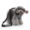 Cat Vest Harnesses Leash Adjustable Breathable Stylish Multifunctional Pet Walking