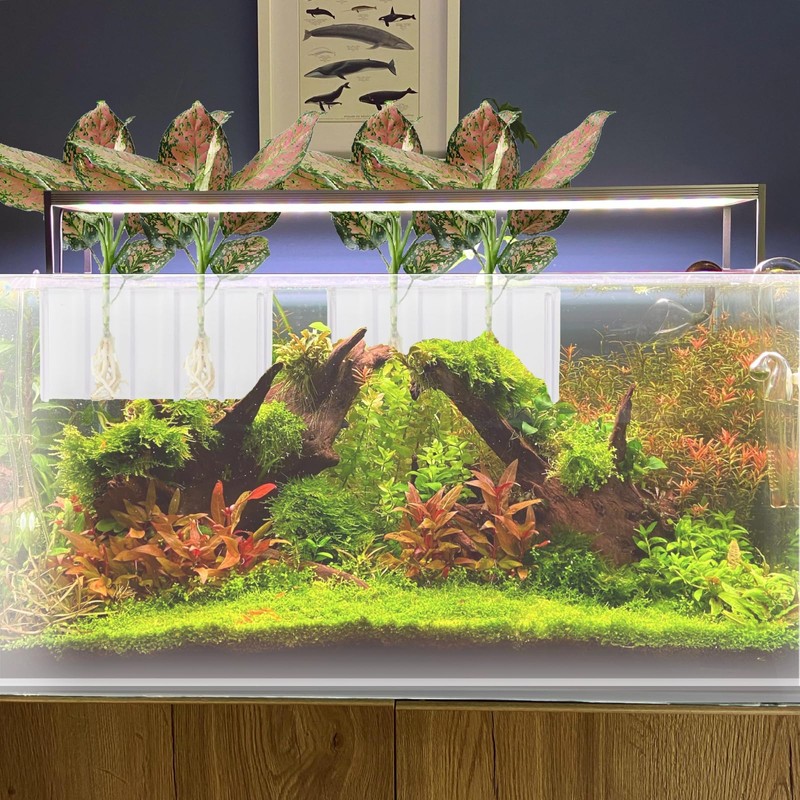 2 PCS Aquarium Plant Holder Top Hanging Fish Tank Plant