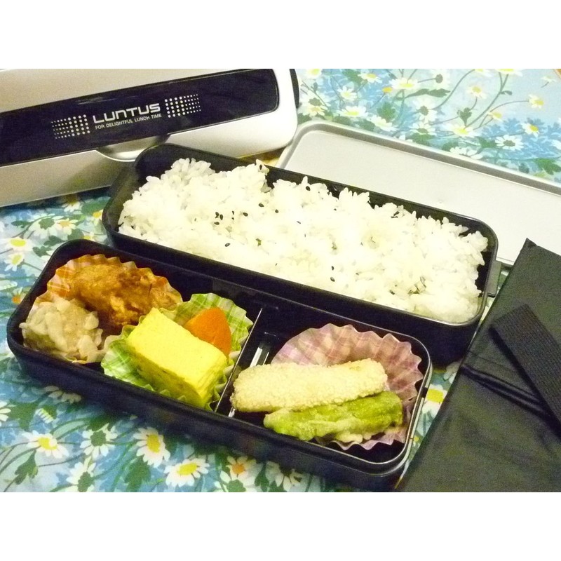 アスベル ランチボックス2段保冷剤&バッグ付 「ランタスMC」 SS-T800C