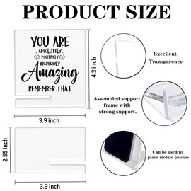 Inspirational Sign Gift, Inspirational Gifts For Men And Women, Acrylic Board With Support, Desktop Decoration, Cheer Up Gift, Rustic Home Decor, Acrylic Sign, You Are Amazing Remember That