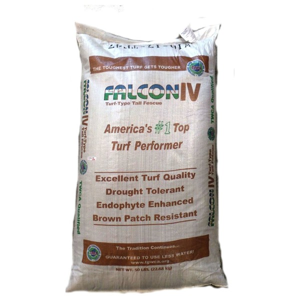 SeedRanch Falcon IV Turf Type Tall Fescue Grass Seeds - 10 lbs.