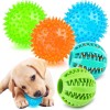 Interactive Dog Toys - 2.5' Squeaky Teething Chew Balls for
