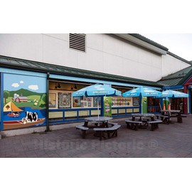 Historic Pictoric Photo - Patio at The Ben and Jerry's Ice Cream Factory in South Burlington- Fine Art Photo Reporduction 12in x 08in