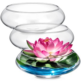 Baderke 3 Pcs Hydroponic Planter Lotus Flower Pot Lotus Bowl Planter Lotus Flower Bowl Clear Fish Bowl Vase Glass Fish Bowl for Planting Indoor Home Decor Water Lily Narcissus Planting Water Lily Bowl