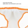 Pet Front Leg Assist Belt Breathable Comfortable Dog Assist Belt