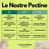 SaporePuro - Pectina NH 200 g per Nappage, Glasse e
