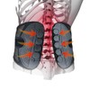 commoc Pelvic Belt, Lumbar Support, Waist Support, Distortion, Waist Belt,