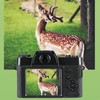 4K Digital Camera 16x Digital Zoom 48MP Vlogging Camera with