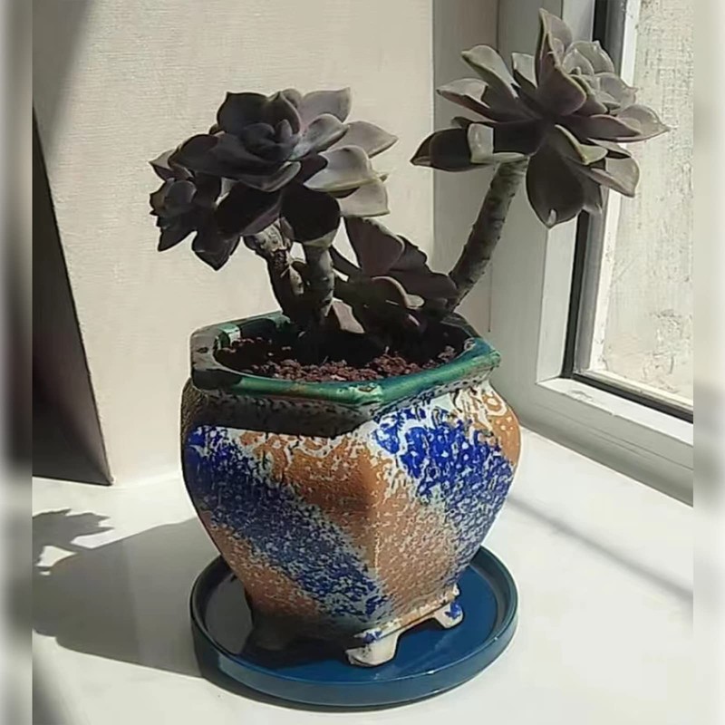 Fzfeiyy Ceramic Plant Saucer 5 Inch, 2 Pack Round Plant