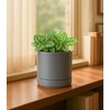 D'vine Dev 4.7 Inch & 6.5 Inch Ceramic Planter Pots