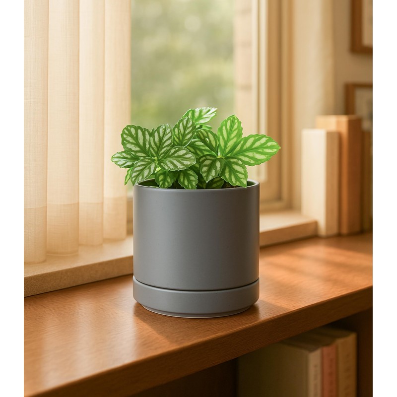 D'vine Dev 4.7 Inch & 6.5 Inch Ceramic Planter Pots