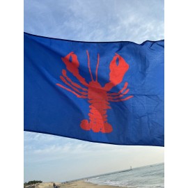 Hoisterly Flags 3 X 5 Nautical Lobster new  Fade Resistant Navy Red One Side Printed Beach