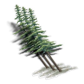 (3Pcs) Redwood Tree Clear Sticker Forest Decal Waterproof Vinyl Stickers Adult for Laptop Kindle Car Tumbler Water Bottle Mug Phone Notebook Helmet Bike Mug - Size 3”x1.3”