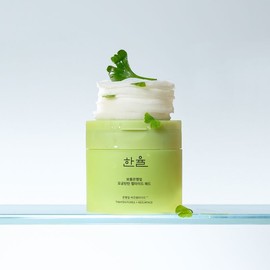 Hanyul [한율]보들은행잎 모공탄탄 펩타이드 패드 [Hanyul] Bodeul Han Leaf Pore Tightening Peptide Pad