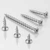 Wensilon (275 pcs)#6X1-1/4 410 Stainless Steel Fastener Drywall Screws-Phillips with