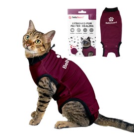 Bellyguard Cat Recovery Suit for Female and Male, Cat Surgery Suit Alternative, Onesie for After Spay Care, Post-Surgery Protective Body Cover for Feline and Kitten Healing