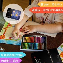 Oil Pastel Set for Vivid Bright Colors Delicate Texture Cream Fabric Soft Smooth Drawing for Professional Artists, Beginners, Kids Drawing 12, 24, 36, 48 Colors (24+2 Colors)