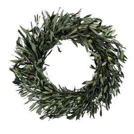 Galt International 21" Green Preserved Olive Branch Wreath Home Decor Front Door Wall Window Spring Summer Fresh Mother's Day Decoration