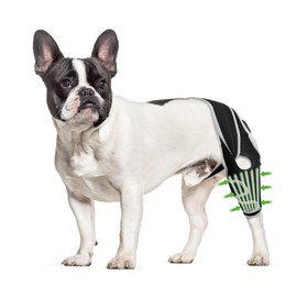 KISFLY Dog Knee Brace for Small Dogs, Patella Support & Joint Care XS