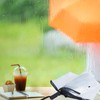 Wisebom Transparent Umbrella Automatic Folding Clear Umbrella Tri-fold 8 Ribs