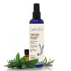 PURA D'OR Organic Shoe & Foot Odor Eliminator Spray (8oz)
