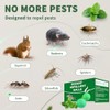 Natural Peppermint Oil Rodent Repellent - 24 Pack