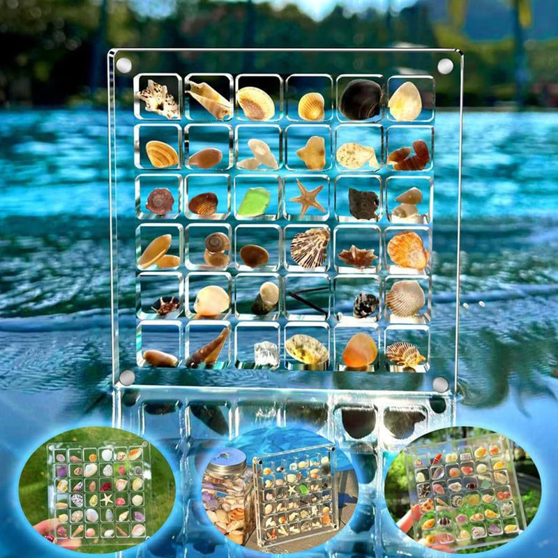 Biglumin Acrylic Box - 36 Compartments Acrylic Box Magnetic Seashell